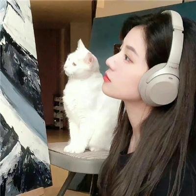 竞选风云