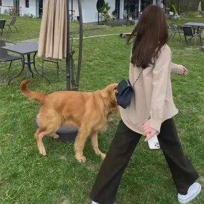 黄昏恋