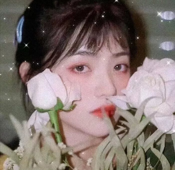 加沙，我的爱
